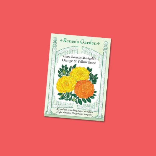 Seeds | Marigold Orange & Yellow Beast | Renee's Garden
