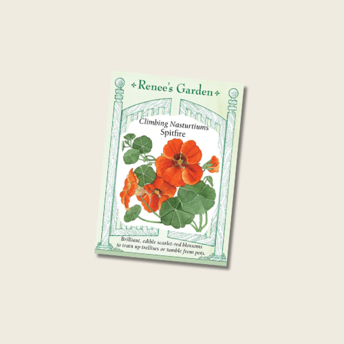 Seeds | Nasturtium Spitfire | Renee's Garden