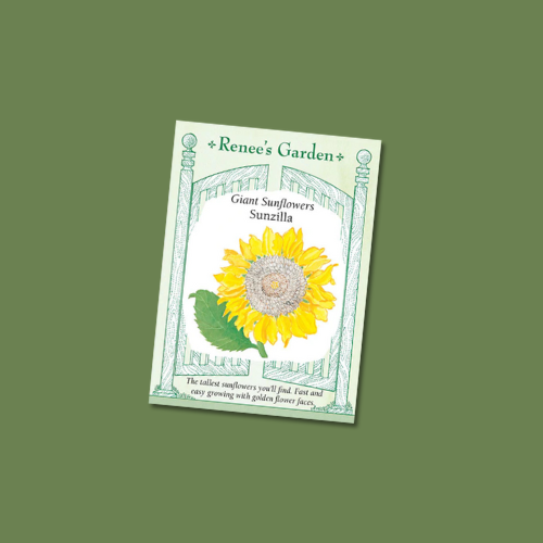 Seeds | Sunflower Sunzilla Giant | Renee's Garden