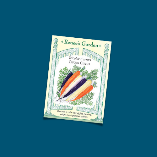 Seeds | Carrot - Circus Circus Tricolor Mix | Renee's Garden