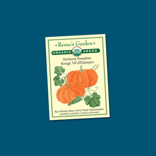 Seeds | Pumpkin - Rouge Vif d'Etampes Organic | Renee's Garden