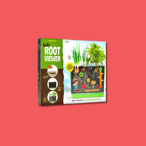 Activity | Root Viewer Kit for Kids | Dan & Darci