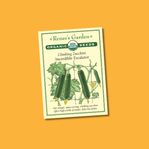 renee's garden astia container zucchini seeds Seeds | Climbing Zucchini Incredible Escalator