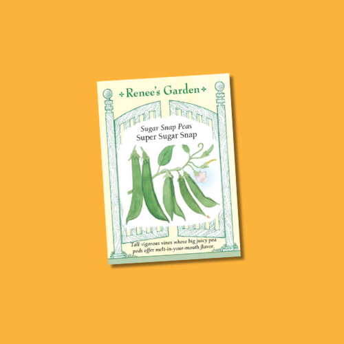 Seeds | Sugar Snap Peas - Super Sugar Snaps | Renee's Garden