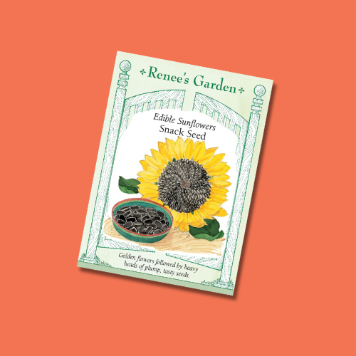 Seeds | Sunflower Snack Seed | Renee's Garden