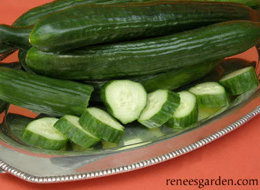 Long, slender green cucumber sliced