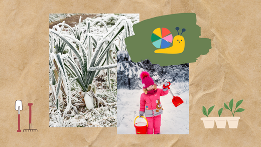 Tiny child playing in the snow in the foreground, a frozen plant behind