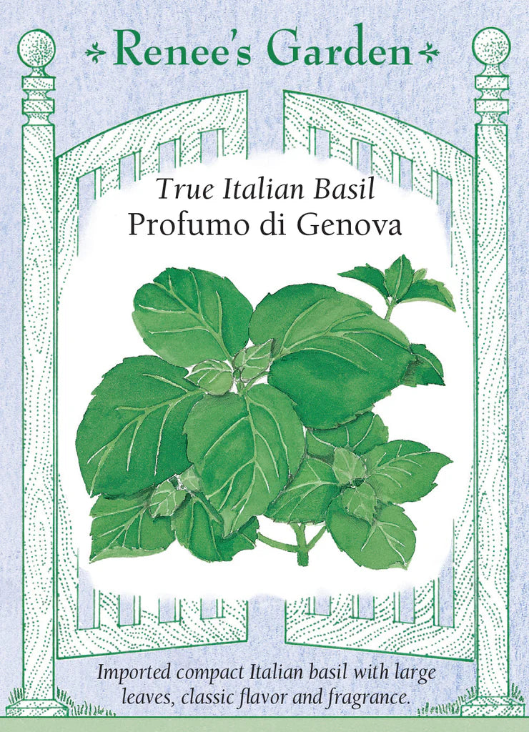 Front packet of lush basil seeds provided by Renee Garden Seeds