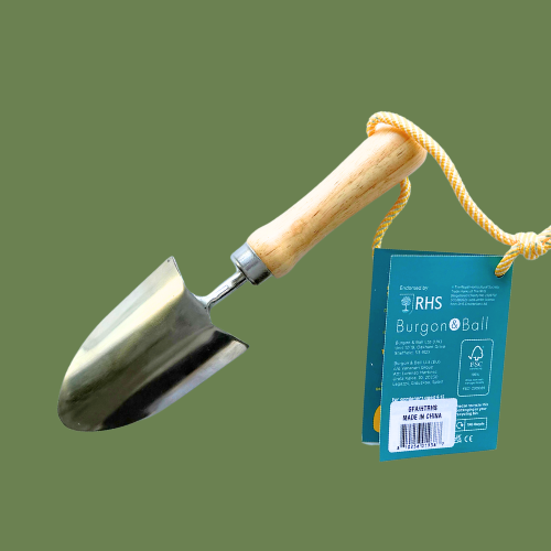 Back of ergonomic Stainless Steel Garden Trowel with Rubberwood Handle