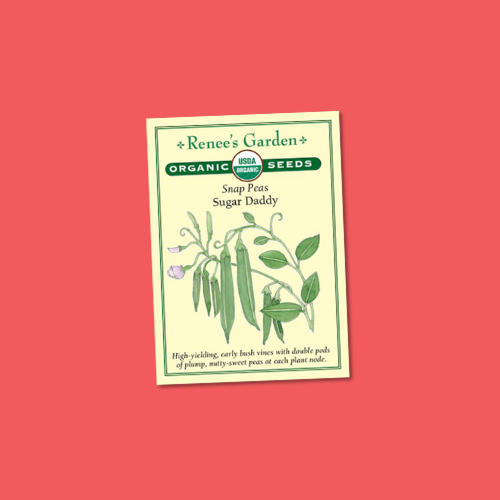 Front view of packet of Snap Sugar Daddy Organic