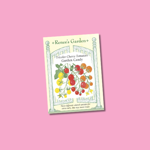 Seeds | Sweetest Trio Cherry Tomato | Renee's Garden