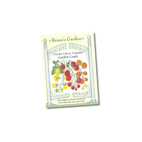 Seeds | Sweetest Trio Cherry Tomato | Renee's Garden