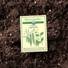 Snap Sugar Daddy Organic seed packet on a soil background