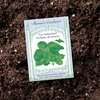 A seed packet for Classic Italian sweet basil showing a vibrant illustration of mature basil plants with large, deep green leaves on a dirt garden bed.