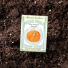 Pumpkin - Mini Jack seed packet on gardening soil