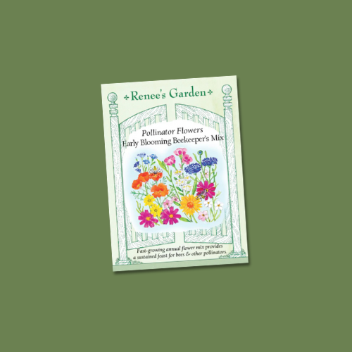 Seed Packet of Pollinator Flowers - Beekeeper's Early Blooming Mix on a green background