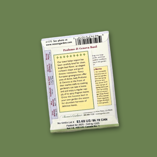 Back of a seed packet for basil features growing information and culinary uses, highlighting its rich aroma and versatility in cooking. Essential details like maturity time and seed count are clearly displayed.