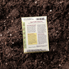 Back of Snap Sugar Daddy Organic seed packet with a soil background