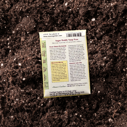 Back of Snap Sugar Daddy Organic seed packet with a soil background