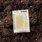 Seeds | Sweetest Trio Cherry Tomato | Renee's Garden