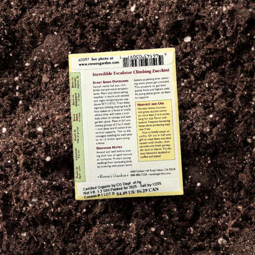 Seeds | Climbing Zucchini Incredible Escalator | Renee's Garden