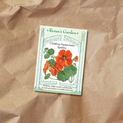 renee's garden nasturtium seeds Seeds | Nasturtium Spitfire