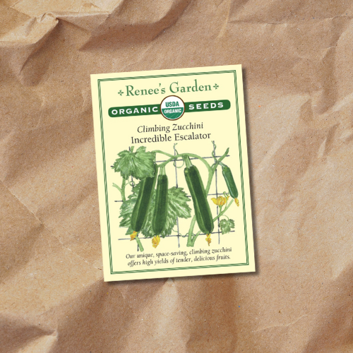 renee's garden astia container zucchini seeds Seeds | Climbing Zucchini Incredible Escalator