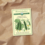 Seeds | Climbing Zucchini Incredible Escalator | Renee's Garden