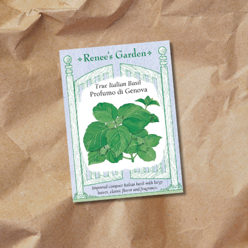 A seed packet for Classic Italian sweet basil showing a vibrant illustration of mature basil plants with large, deep green leaves on a kraft paper background.