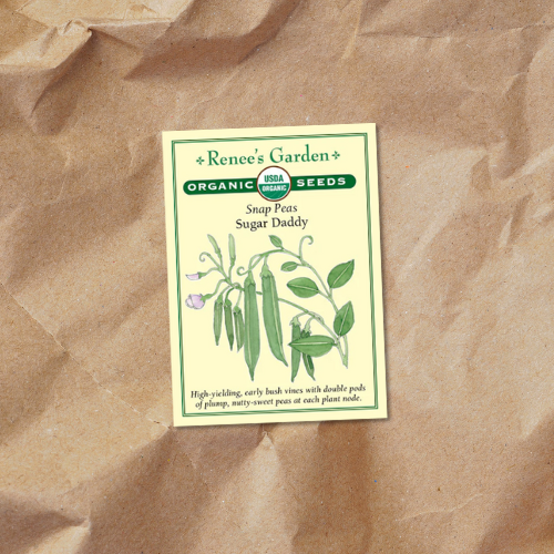 Snap Sugar Daddy Organic seed packet on a kraft paper background