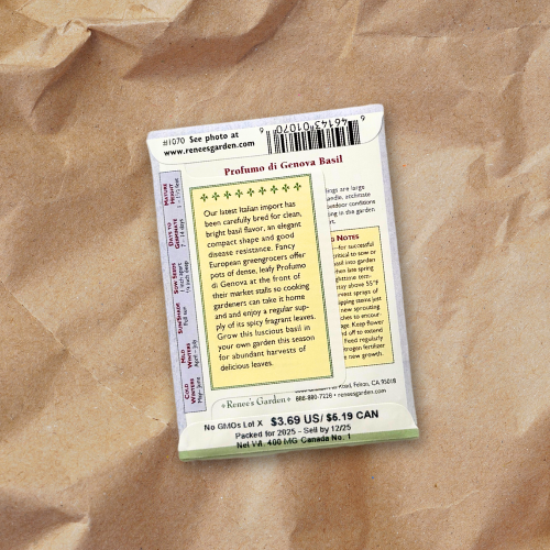 The back of the seed packet features growing information and culinary uses, highlighting its rich aroma and versatility in cooking. Essential details like maturity time and seed count are clearly displayed on kraft paper.
