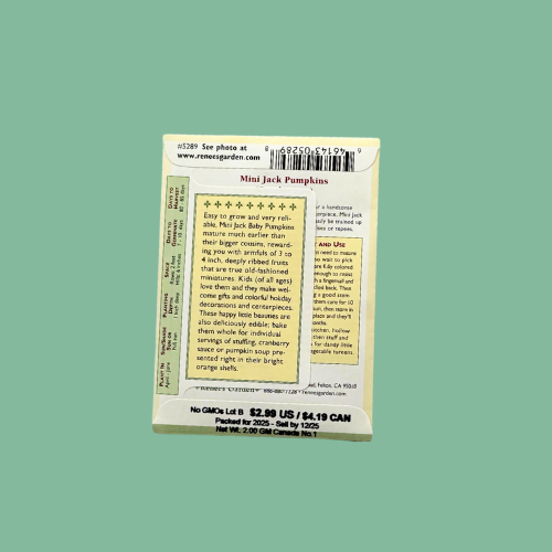 Back of seed packet of Pumpkin - Mini Jack on a sage green background