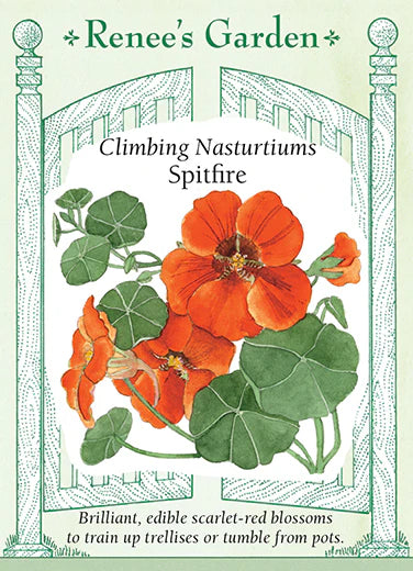 Seeds packet for bright orange-red nasturtium flowers