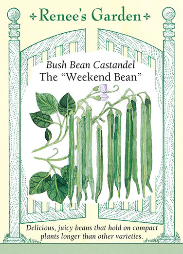 Seeds | Bush Beans- Castandel Weekend - Thumbnail 2
