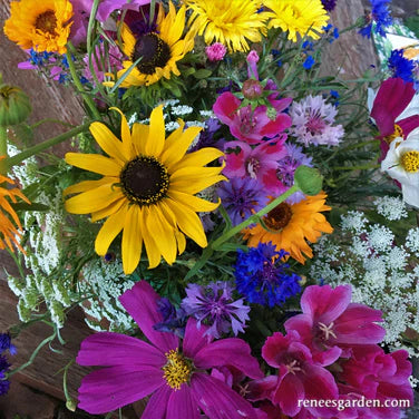 Colorful early spring flowers in a bouquet, by Renee's Garden Seeds