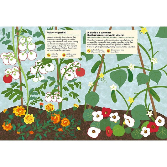 Inside pages of My Nature Sticker Activity Book featuring vegetable garden illustrations