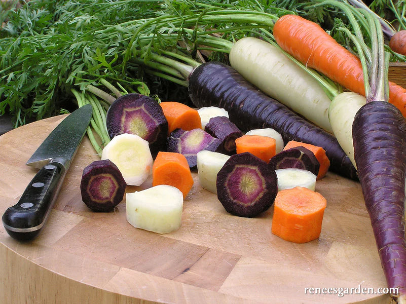 Bunch of multicolored carrots on a cutting board- purple, orange, and white