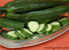 Long, slender green cucumber sliced
