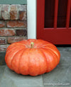 Large, flattened red-orange pumpkin on a porch