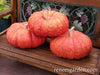 Large, flattened red-orange pumpkin on a porch