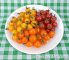 Seeds | Sweetest Trio Cherry Tomato | Renee's Garden